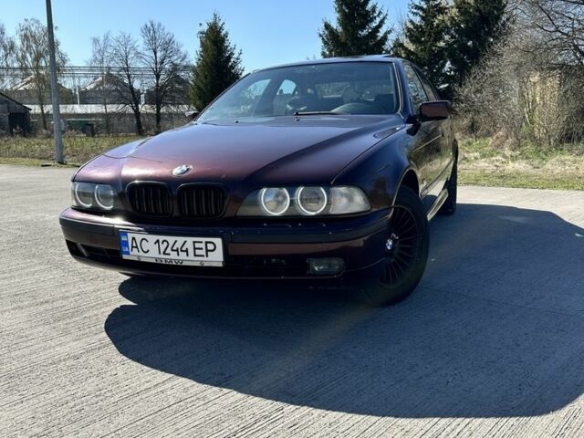 Красный БМВ 5 Серия, объемом двигателя 2.5 л и пробегом 300 тыс. км за 3500 $, фото 1 на Automoto.ua