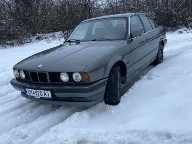 Серый БМВ 5 Серия, объемом двигателя 2.5 л и пробегом 388 тыс. км за 1699 $, фото 1 на Automoto.ua