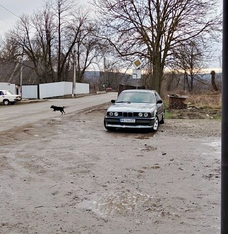 Серый БМВ 5 Серия, объемом двигателя 2.5 л и пробегом 300 тыс. км за 2200 $, фото 1 на Automoto.ua