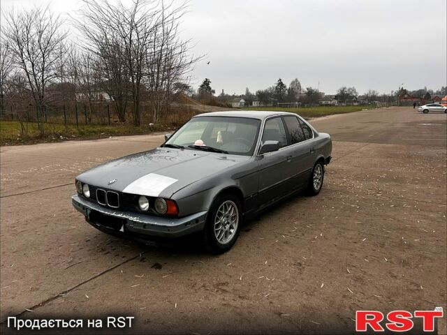 Серый БМВ 5 Серия, объемом двигателя 2 л и пробегом 300 тыс. км за 1900 $, фото 1 на Automoto.ua