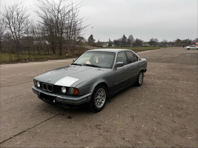 Серый БМВ 5 Серия, объемом двигателя 2 л и пробегом 300 тыс. км за 1900 $, фото 1 на Automoto.ua