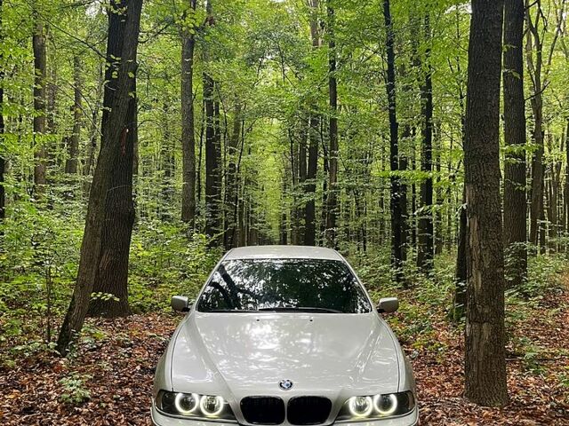 Сірий БМВ 5 Серія, об'ємом двигуна 2.5 л та пробігом 369 тис. км за 5200 $, фото 1 на Automoto.ua