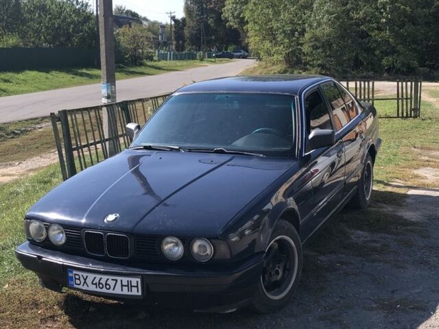 Синий БМВ 5 Серия, объемом двигателя 2 л и пробегом 30 тыс. км за 2299 $, фото 1 на Automoto.ua