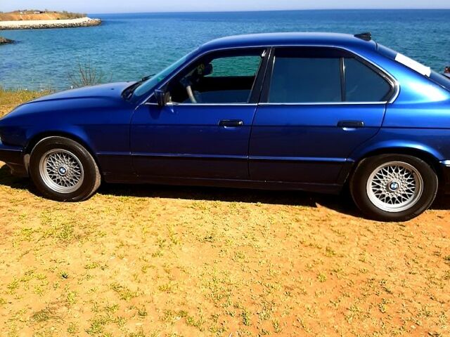 Синий БМВ 5 Серия, объемом двигателя 3 л и пробегом 300 тыс. км за 3500 $, фото 1 на Automoto.ua