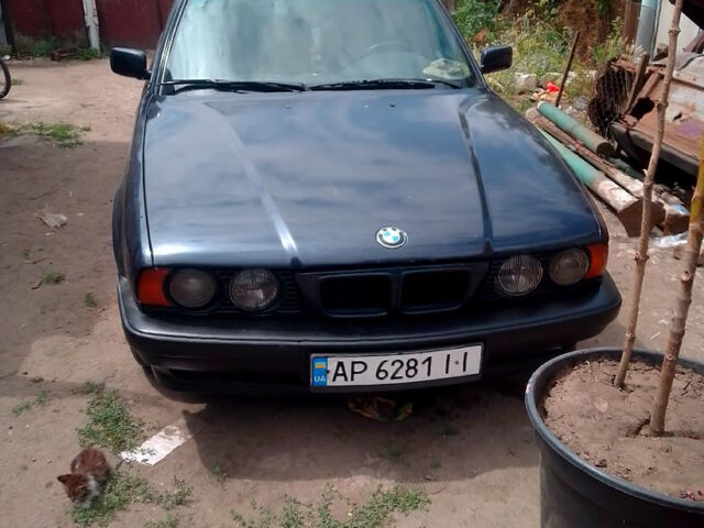 Синий БМВ 5 Серия, объемом двигателя 2 л и пробегом 0 тыс. км за 2000 $, фото 1 на Automoto.ua