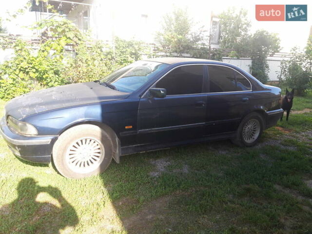 Синий БМВ 5 Серия, объемом двигателя 0 л и пробегом 300 тыс. км за 3000 $, фото 1 на Automoto.ua