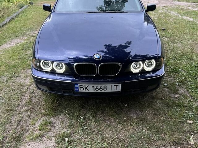Синий БМВ 5 Серия, объемом двигателя 2.5 л и пробегом 2 тыс. км за 4199 $, фото 1 на Automoto.ua