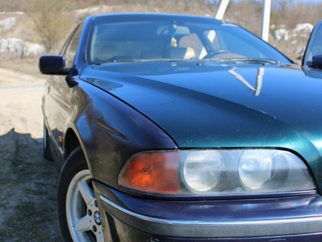 Синий БМВ 5 Серия, объемом двигателя 2.5 л и пробегом 299 тыс. км за 2999 $, фото 1 на Automoto.ua