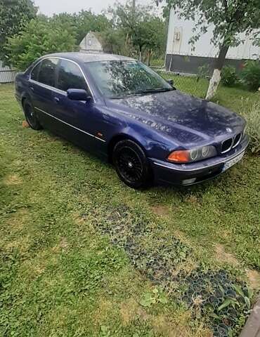 Синий БМВ 5 Серия, объемом двигателя 2.49 л и пробегом 360 тыс. км за 3000 $, фото 1 на Automoto.ua