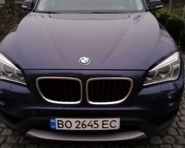 Синій БМВ Х1, об'ємом двигуна 2 л та пробігом 235 тис. км за 13200 $, фото 1 на Automoto.ua