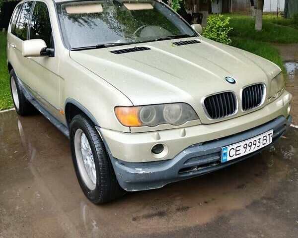 БМВ Х5 2003 в Черновцах на Automoto.ua Бежевый БМВ Х5, объемом двигателя 3 л и пробегом 499 тыс. км за 7000 $, фото 1 на Automoto.ua