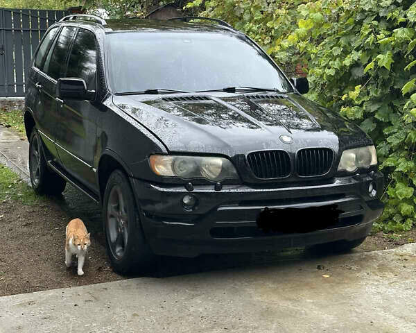 Черный БМВ Х5, объемом двигателя 3 л и пробегом 300 тыс. км за 3950 $, фото 1 на Automoto.ua