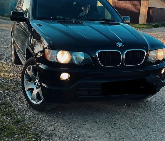 БМВ Х5 2003 в Черновцах на Automoto.ua Черный БМВ Х5, объемом двигателя 3 л и пробегом 515 тыс. км за 5605 $, фото 1 на Automoto.ua