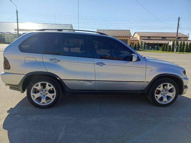 Сірий БМВ Х5, об'ємом двигуна 3 л та пробігом 529 тис. км за 7296 $, фото 1 на Automoto.ua