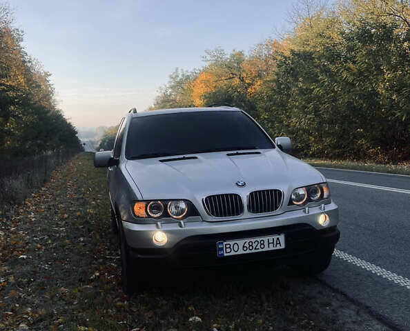 Сірий БМВ Х5, об'ємом двигуна 3 л та пробігом 390 тис. км за 10000 $, фото 1 на Automoto.ua