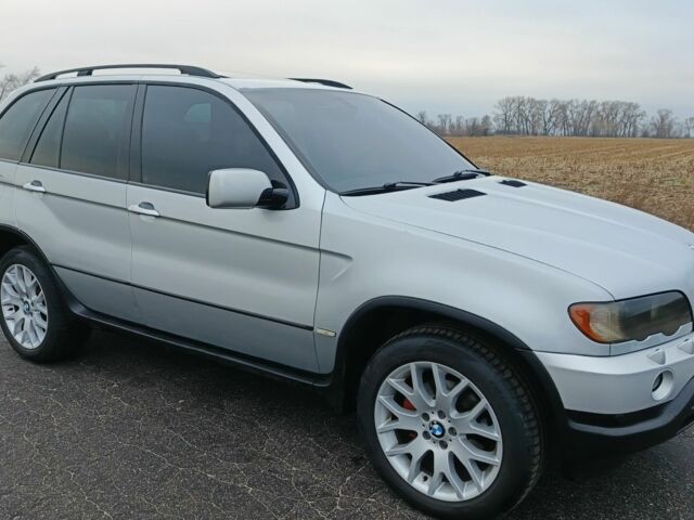 Серый БМВ Х5, объемом двигателя 2.9 л и пробегом 349 тыс. км за 8700 $, фото 1 на Automoto.ua