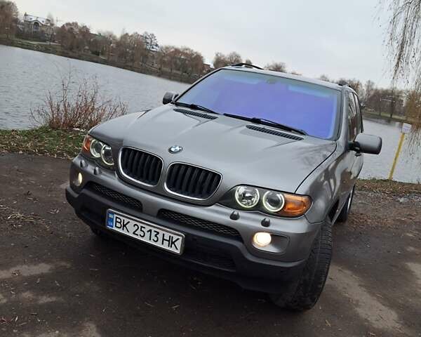Серый БМВ Х5, объемом двигателя 3 л и пробегом 219 тыс. км за 12765 $, фото 1 на Automoto.ua