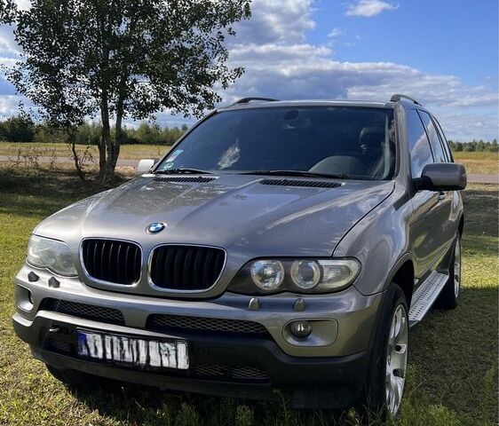 Серый БМВ Х5, объемом двигателя 3 л и пробегом 177 тыс. км за 5900 $, фото 1 на Automoto.ua