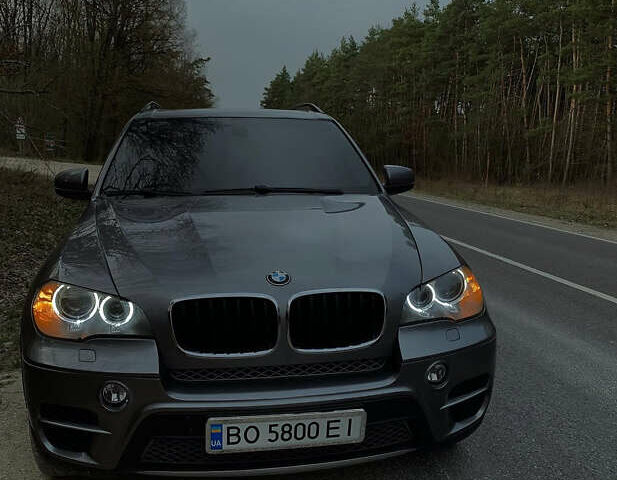 Серый БМВ Х5, объемом двигателя 3 л и пробегом 266 тыс. км за 13100 $, фото 1 на Automoto.ua