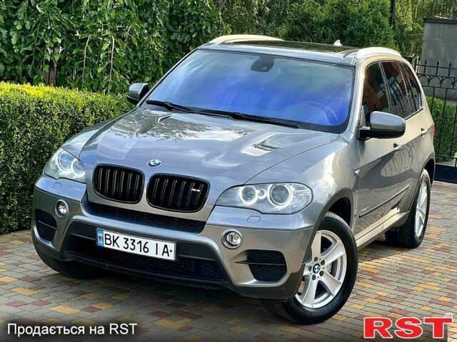 Серый БМВ Х5, объемом двигателя 3 л и пробегом 275 тыс. км за 19800 $, фото 1 на Automoto.ua