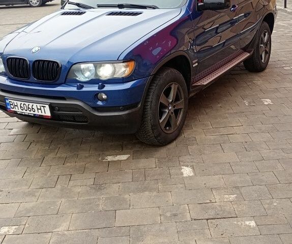 Синий БМВ Х5, объемом двигателя 2.9 л и пробегом 340 тыс. км за 11999 $, фото 1 на Automoto.ua