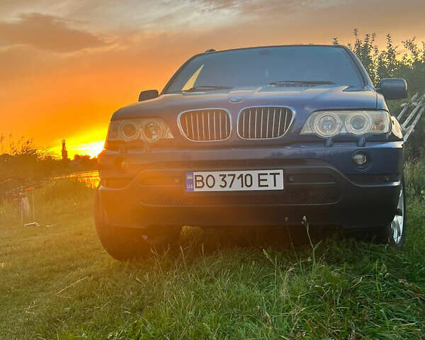Синий БМВ Х5, объемом двигателя 3 л и пробегом 320 тыс. км за 8500 $, фото 1 на Automoto.ua