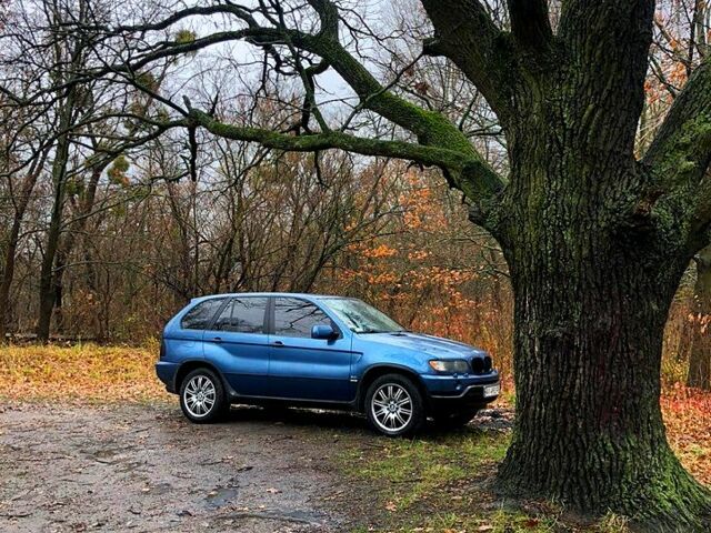 Синий БМВ Х5, объемом двигателя 3 л и пробегом 340 тыс. км за 7100 $, фото 1 на Automoto.ua