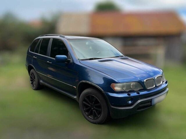 Синий БМВ Х5, объемом двигателя 3 л и пробегом 354 тыс. км за 3914 $, фото 1 на Automoto.ua