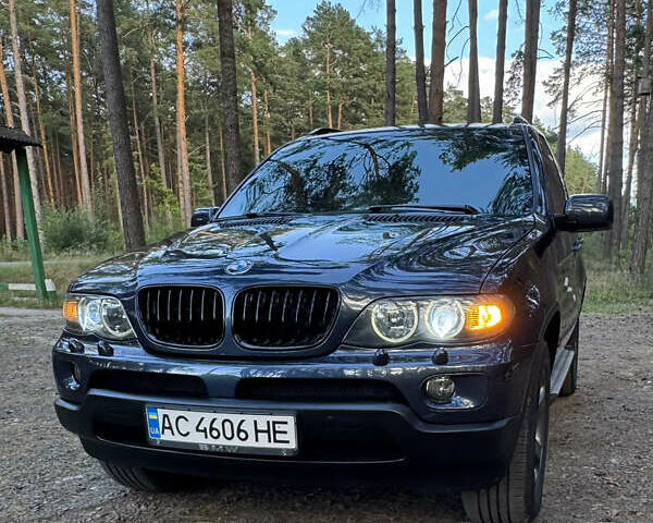Синий БМВ Х5, объемом двигателя 2.99 л и пробегом 391 тыс. км за 13300 $, фото 1 на Automoto.ua