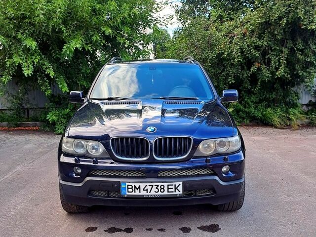 Синий БМВ Х5, объемом двигателя 3 л и пробегом 343 тыс. км за 12300 $, фото 1 на Automoto.ua