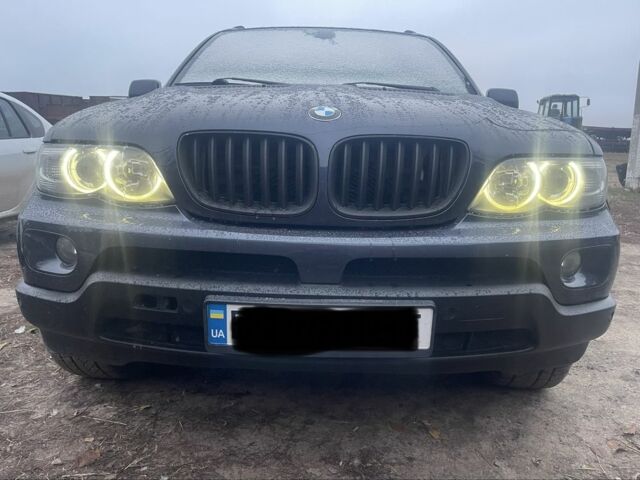 Синий БМВ Х5, объемом двигателя 3 л и пробегом 315 тыс. км за 12000 $, фото 1 на Automoto.ua