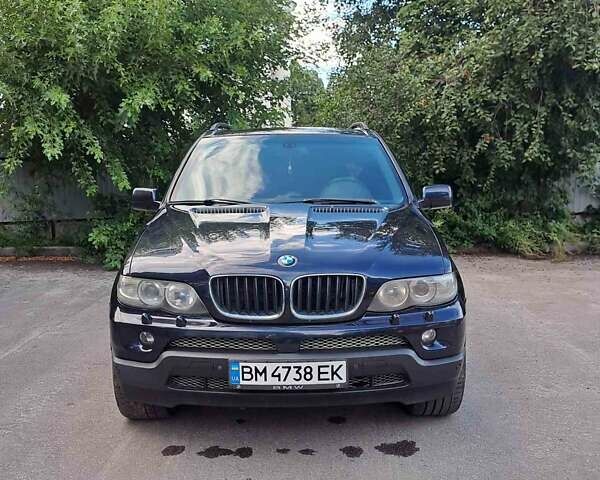 Синий БМВ Х5, объемом двигателя 2.99 л и пробегом 343 тыс. км за 12300 $, фото 1 на Automoto.ua