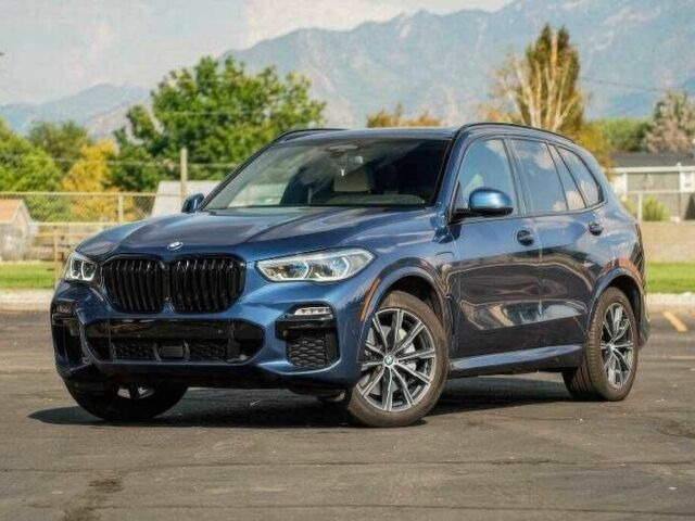 Синий БМВ Х5, объемом двигателя 3 л и пробегом 29 тыс. км за 39900 $, фото 1 на Automoto.ua