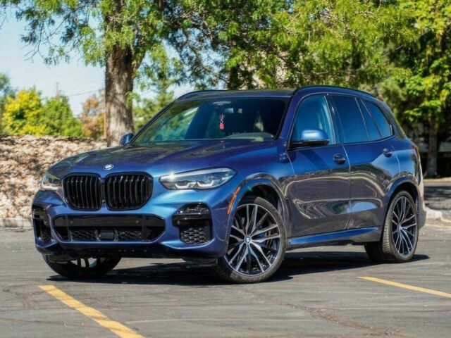 Синий БМВ Х5, объемом двигателя 3 л и пробегом 30 тыс. км за 65000 $, фото 1 на Automoto.ua