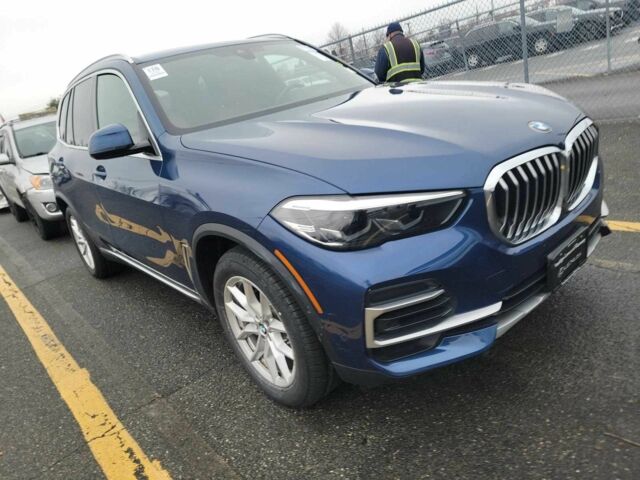Синий БМВ Х5, объемом двигателя 0 л и пробегом 44 тыс. км за 50000 $, фото 1 на Automoto.ua