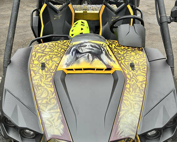 БРП Коммандер, объемом двигателя 0 л и пробегом 11 тыс. км за 9600 $, фото 1 на Automoto.ua