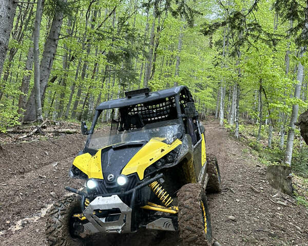 БРП Маверик, объемом двигателя 0.98 л и пробегом 3 тыс. км за 9999 $, фото 1 на Automoto.ua