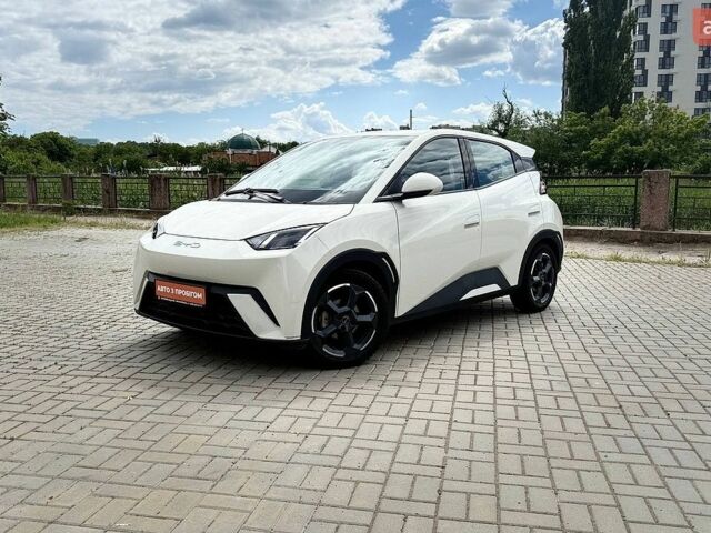 Белый БИД Seagull, объемом двигателя 0 л и пробегом 17 тыс. км за 15500 $, фото 1 на Automoto.ua