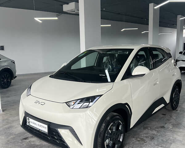 Белый БИД Seagull, объемом двигателя 0 л и пробегом 1 тыс. км за 15700 $, фото 1 на Automoto.ua