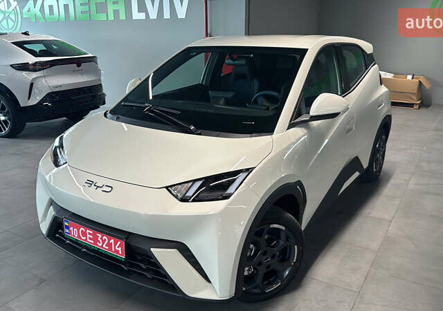 Белый БИД Seagull, объемом двигателя 0 л и пробегом 17 тыс. км за 14000 $, фото 1 на Automoto.ua