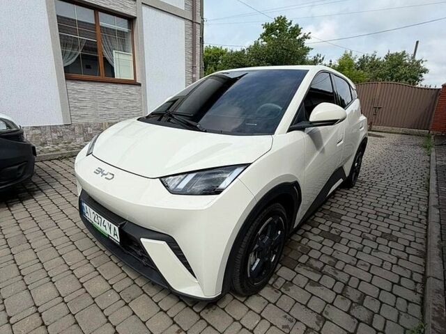 Белый БИД Seagull, объемом двигателя 0 л и пробегом 20 тыс. км за 14000 $, фото 1 на Automoto.ua