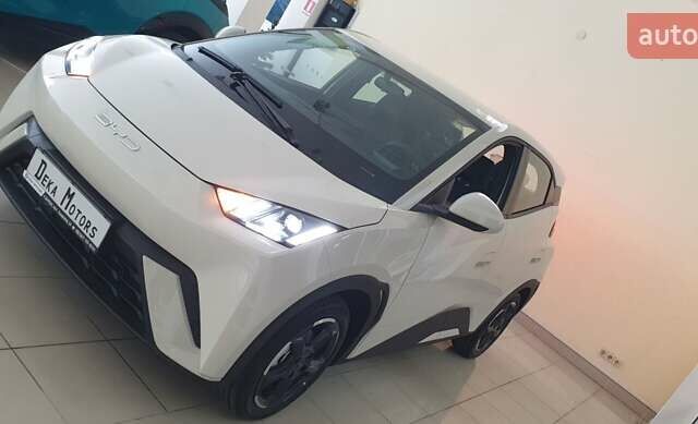 Белый БИД Seagull, объемом двигателя 0 л и пробегом 1 тыс. км за 13800 $, фото 1 на Automoto.ua
