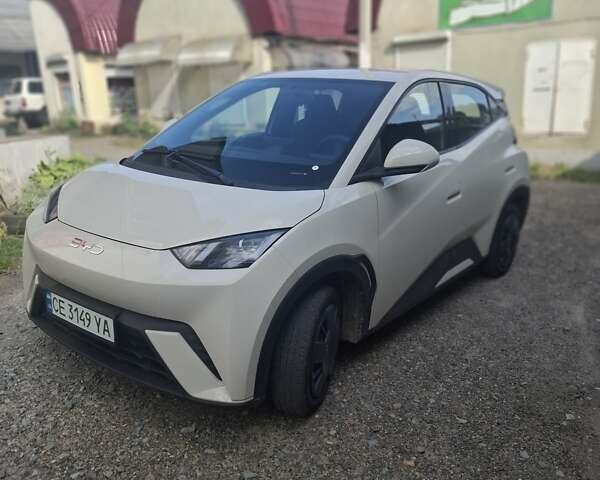 Белый БИД Seagull, объемом двигателя 0 л и пробегом 10 тыс. км за 13100 $, фото 1 на Automoto.ua