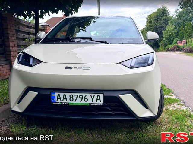 Белый БИД Seagull, объемом двигателя 75 л и пробегом 18 тыс. км за 16700 $, фото 1 на Automoto.ua