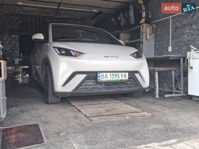 Белый БИД Seagull, объемом двигателя 0 л и пробегом 7 тыс. км за 15300 $, фото 1 на Automoto.ua