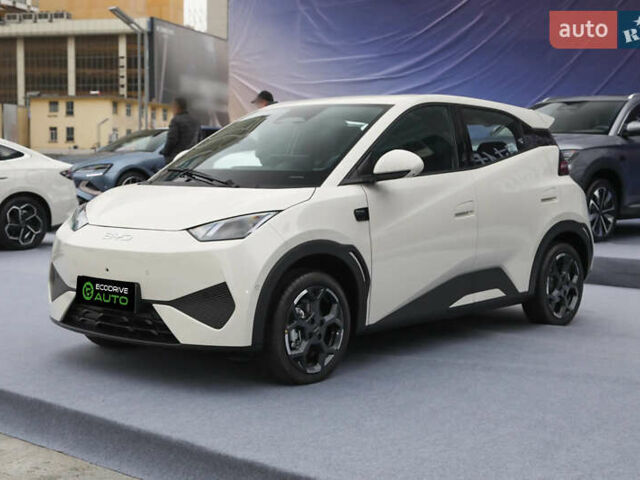 Белый БИД Seagull, объемом двигателя 0 л и пробегом 15 тыс. км за 14000 $, фото 1 на Automoto.ua