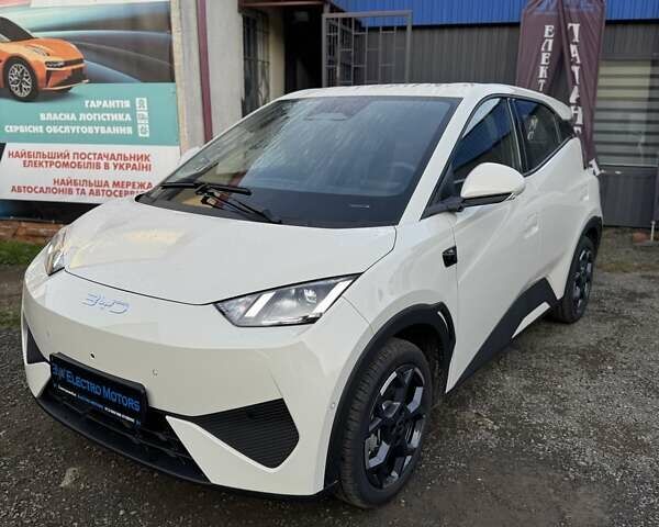 Белый БИД Seagull, объемом двигателя 0 л и пробегом 1 тыс. км за 16400 $, фото 1 на Automoto.ua