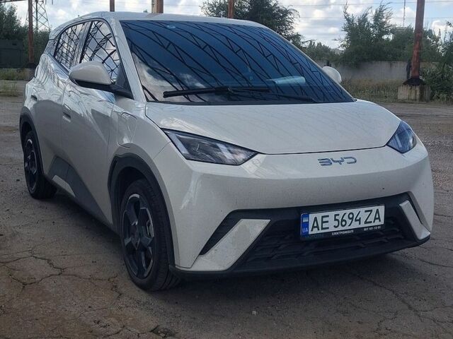 Бежевый БИД Seagull, объемом двигателя 0 л и пробегом 30 тыс. км за 14500 $, фото 1 на Automoto.ua