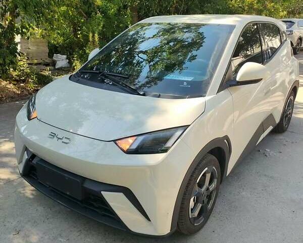 Бежевый БИД Seagull, объемом двигателя 0 л и пробегом 6 тыс. км за 13400 $, фото 1 на Automoto.ua