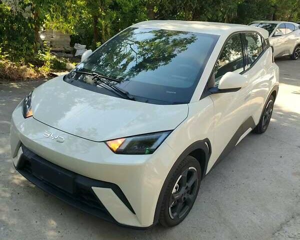 Бежевый БИД Seagull, объемом двигателя 0 л и пробегом 6 тыс. км за 13400 $, фото 1 на Automoto.ua